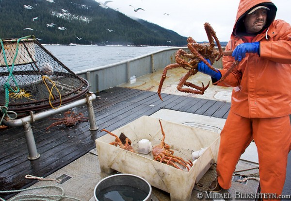 Southeast Alaska Golden King Crab Fishery – MB Commercial Photography