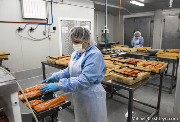 Processing sockeye salmon at the Vityaz-Avto plant