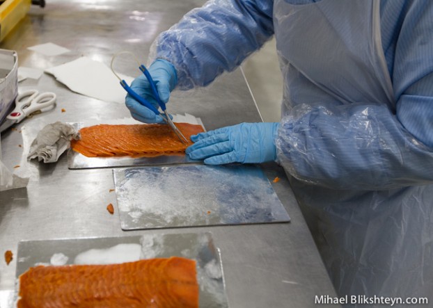 Processing sockeye salmon at the Vityaz-Avto plant