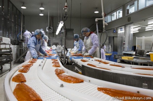 Processing sockeye salmon at the Vityaz-Avto plant