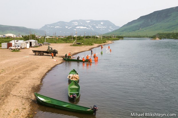 Ozernaya River sockeye salmon beach seining