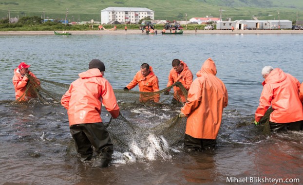 Ozernaya River sockeye salmon beach seine fishery