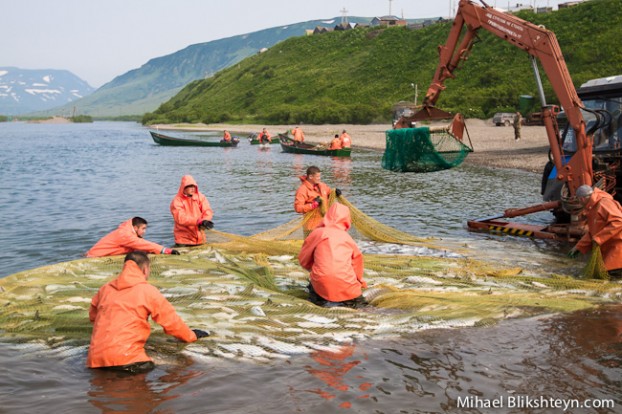 Ozernaya River sockeye salmon beach seine fishery