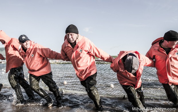 Ozernaya River sockeye salmon beach seining