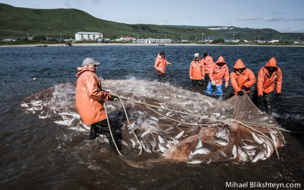 Ozernaya River sockeye salmon beach seine fishery