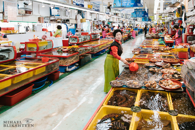 Jagalchi Live Fish Market