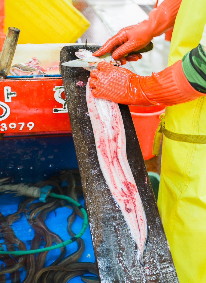 Jagalchi Live Fish Market