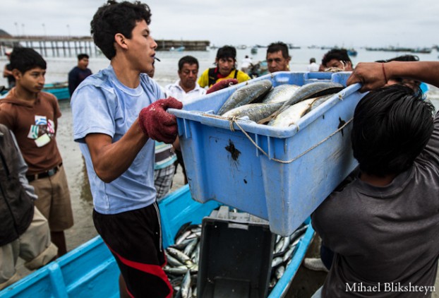 Puerto Lopez fishermen offloading and selling catch