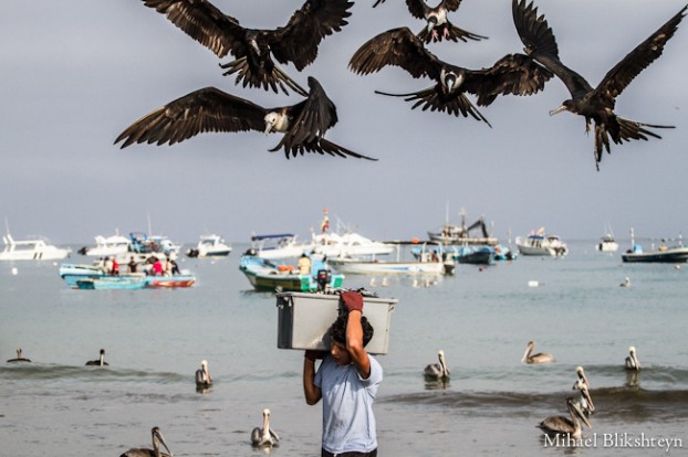 Puerto Lopez fishermen offloading and selling catch