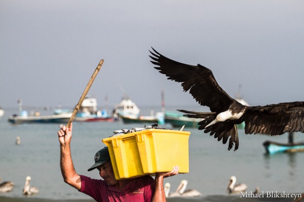 Puerto Lopez fishermen offloading and selling catch