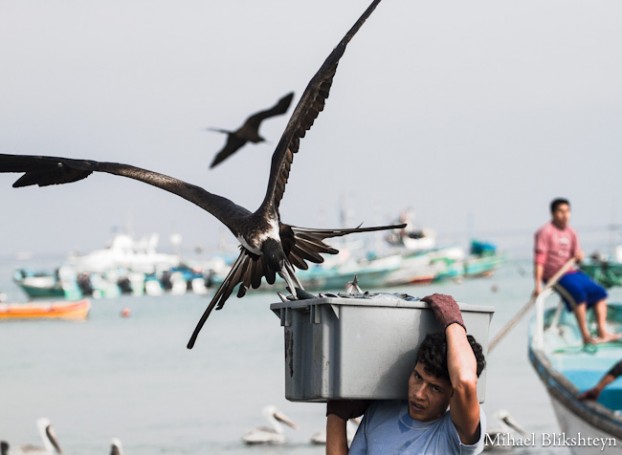 Puerto Lopez fishermen offloading and selling catch