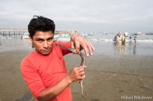 Puerto Lopez fishermen offloading and selling catch