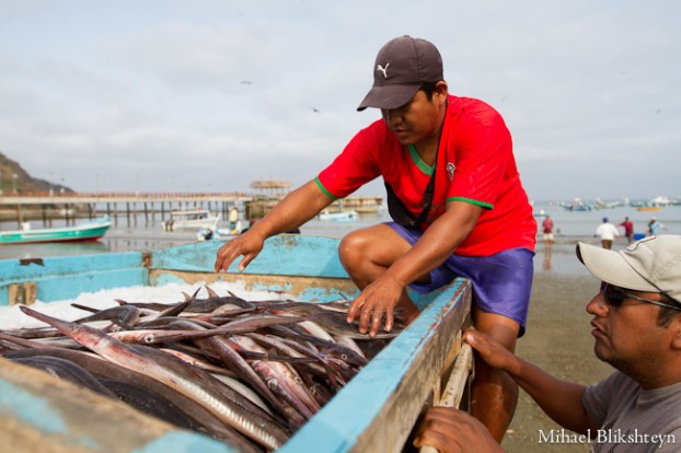 Puerto Lopez fishermen offloading and selling catch