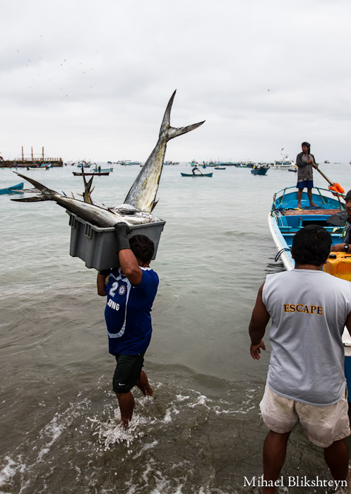 Puerto Lopez fishermen offloading and selling catch