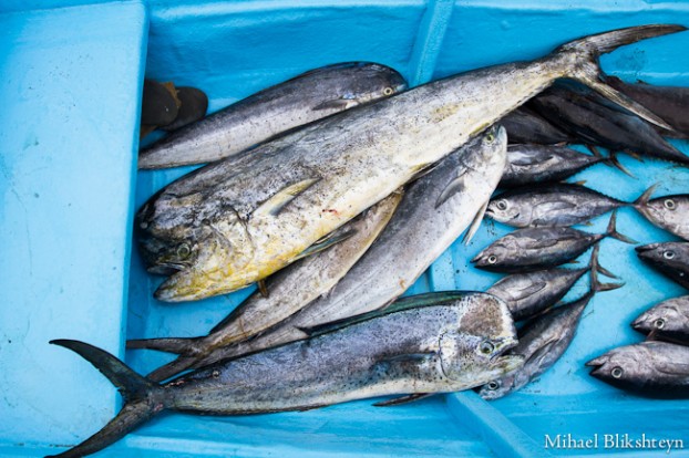 Puerto Lopez fishermen offloading and selling catch