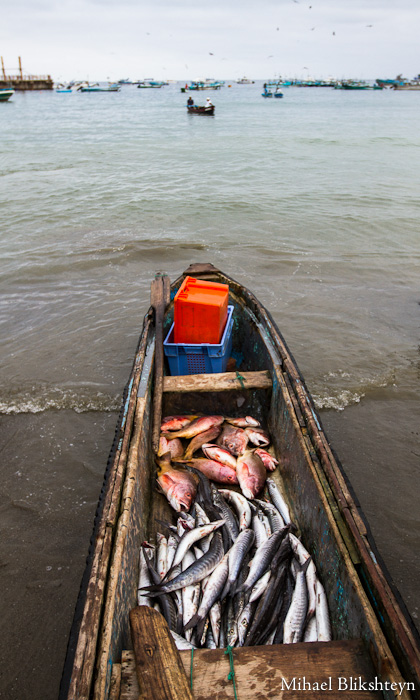 Puerto Lopez fishermen offloading and selling catch