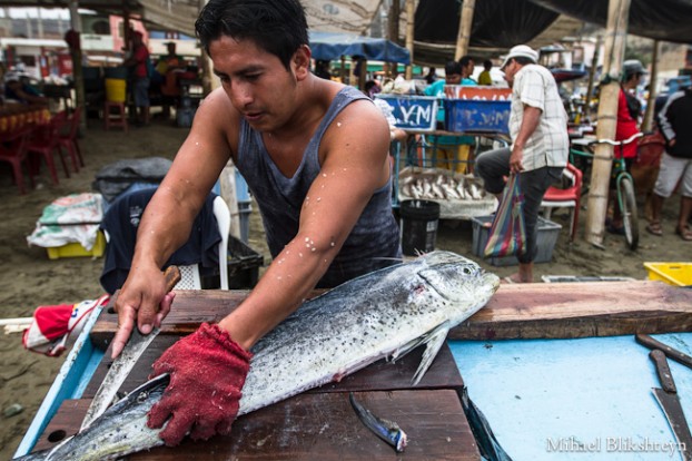 Puerto Lopez fishermen offloading and selling catch