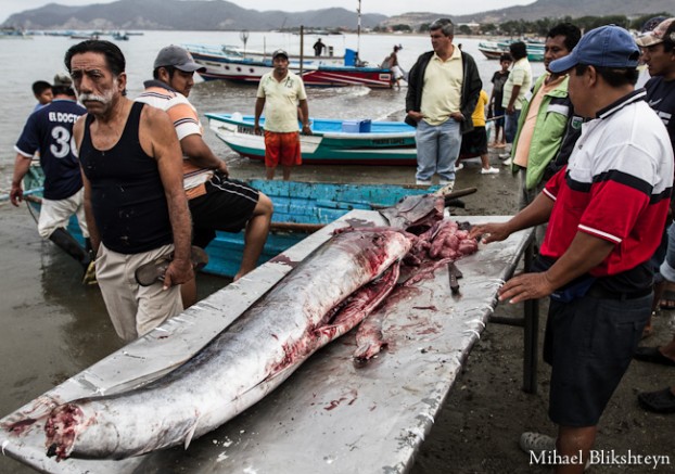 Puerto Lopez fishermen offloading and selling catch