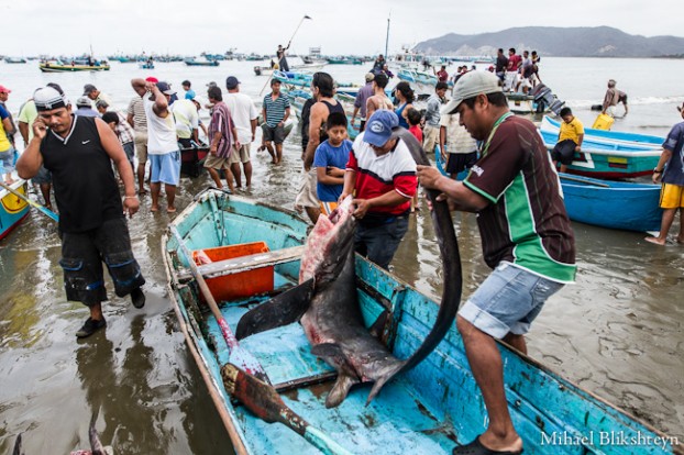 Puerto Lopez fishermen offloading and selling catch
