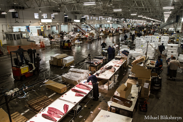 The New Fulton Fish Market at Hunts Point