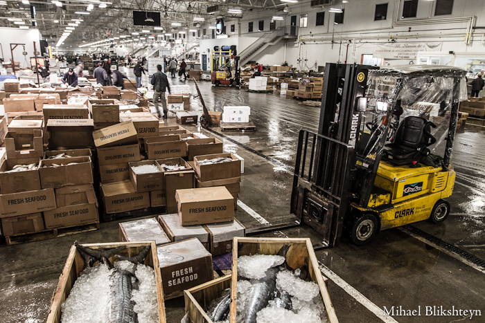 The New Fulton Fish Market at Hunts Point