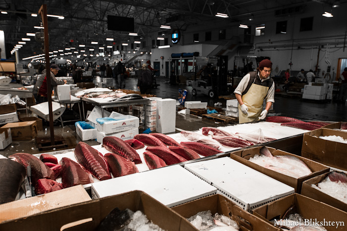 The New Fulton Fish Market at Hunts Point