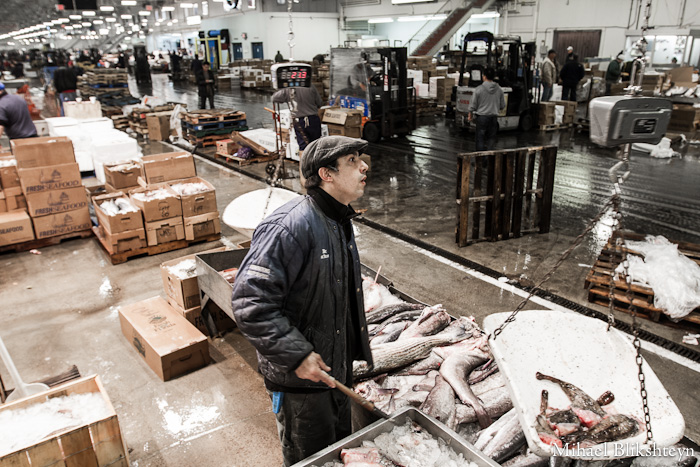 The New Fulton Fish Market at Hunts Point