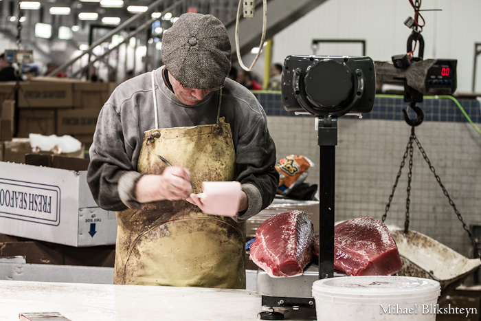 The New Fulton Fish Market at Hunts Point