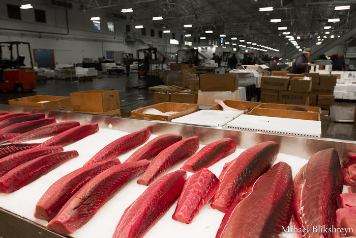 The New Fulton Fish Market at Hunts Point